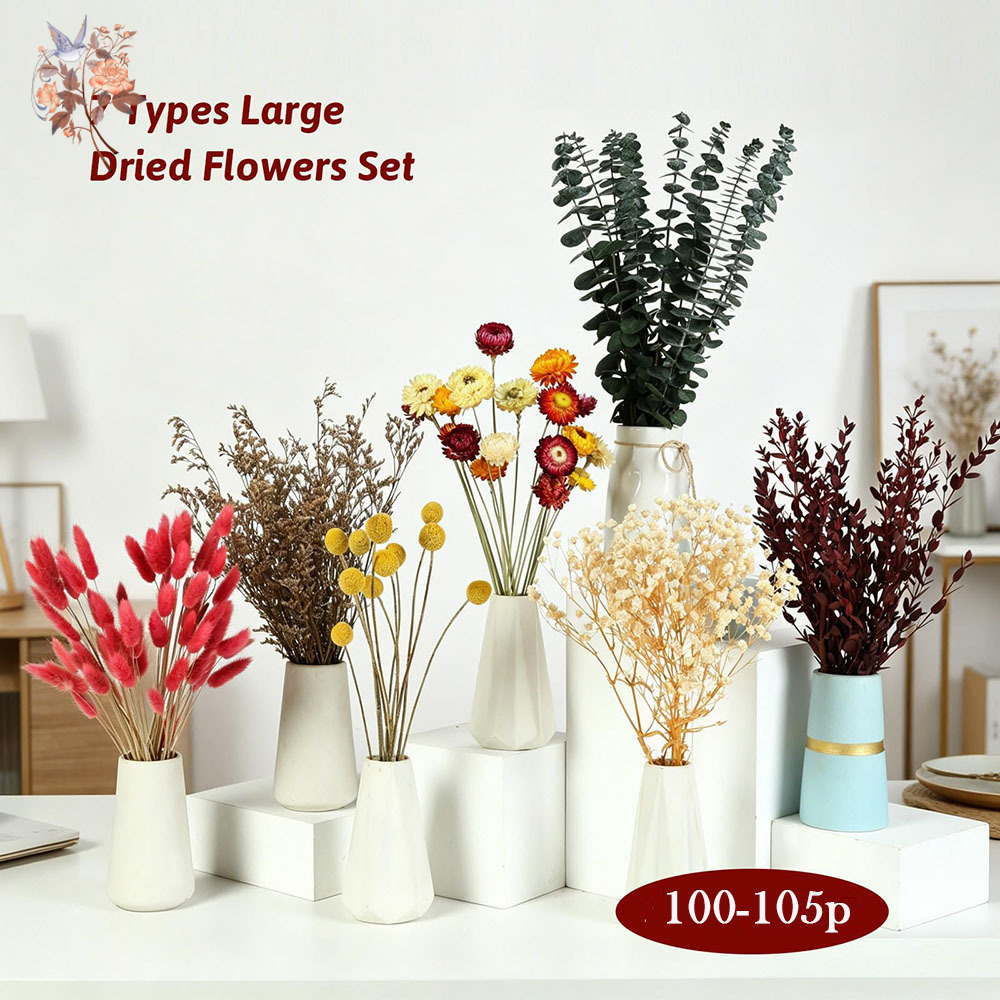 Dried Flowers Bulk Set 7 Kinds - огляд і ціна Florist Supply Bulk