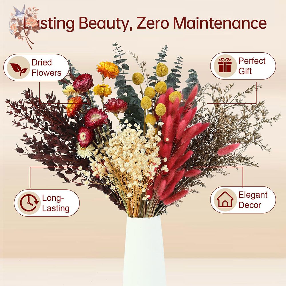 Dried Flowers Bulk Set 7 Kinds - огляд і ціна Florist Supply Bulk