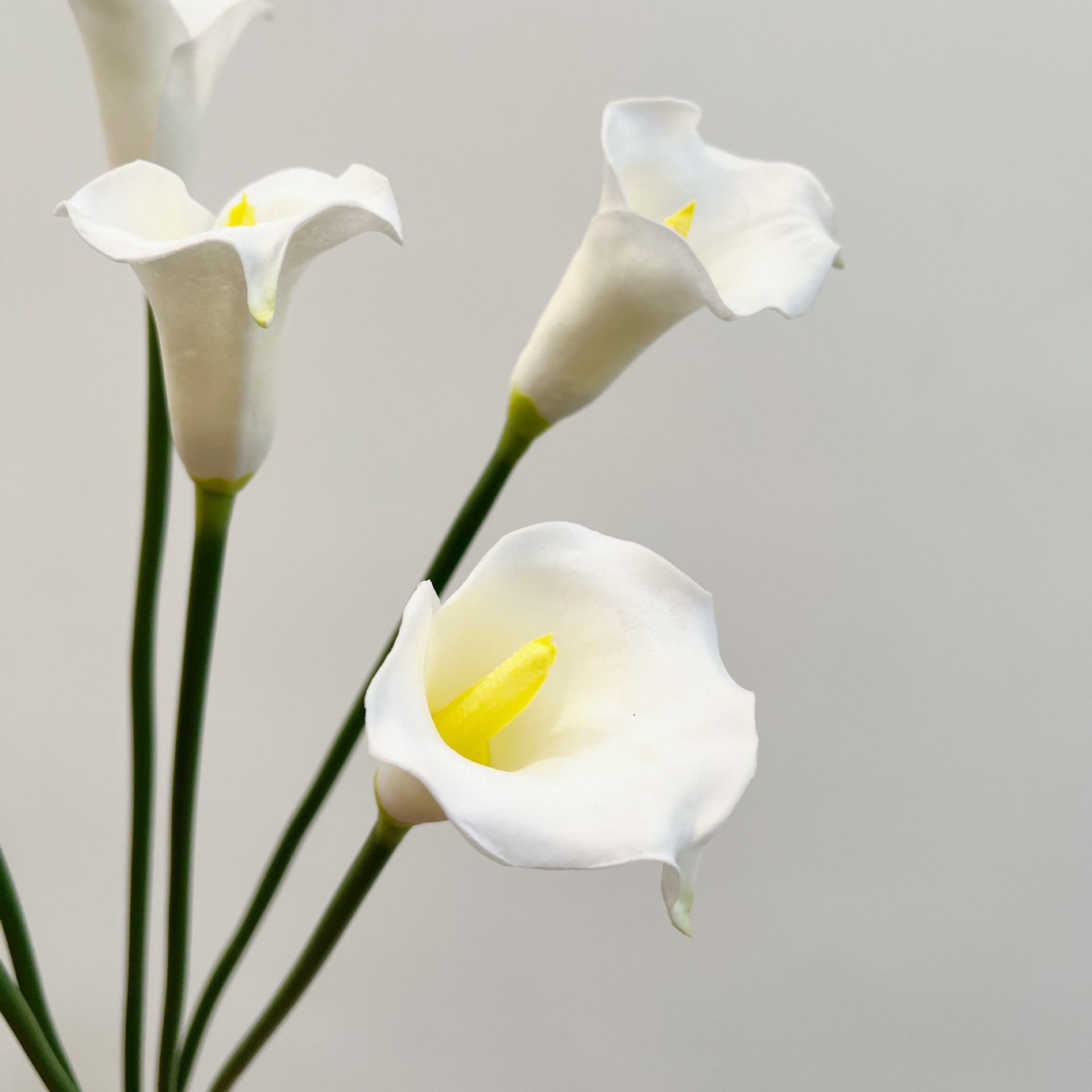 26 Inch Single Stem Crescent C - огляд і ціна Florist Supply Bulk