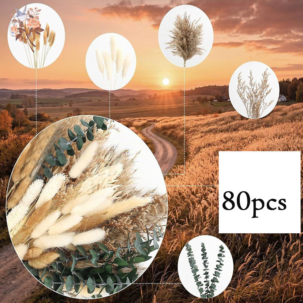 80Pcs Natural Dried Flowers Bo - огляд і ціна Eucalyptus Preserved